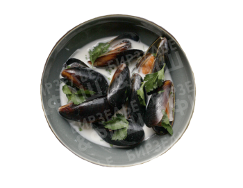 �����  � ��������� �����